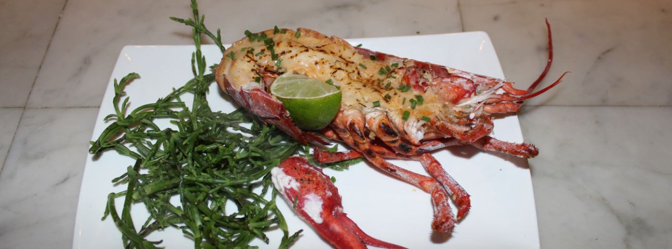 Heerlijke halve kreeft